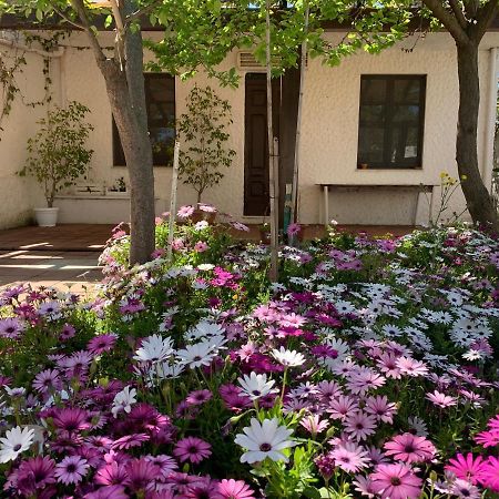 Вилла Casa Tranquilla A Pochissimi Passi Dal Mare Sant'Andrea  Экстерьер фото