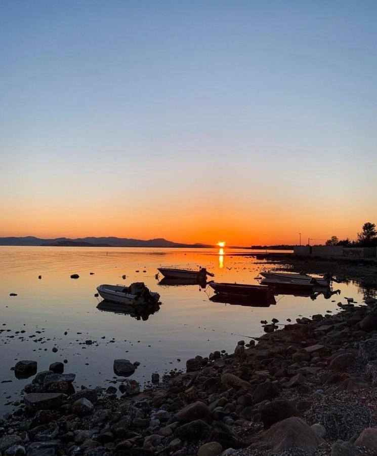 Вилла Casa Tranquilla A Pochissimi Passi Dal Mare Sant'Andrea  Экстерьер фото