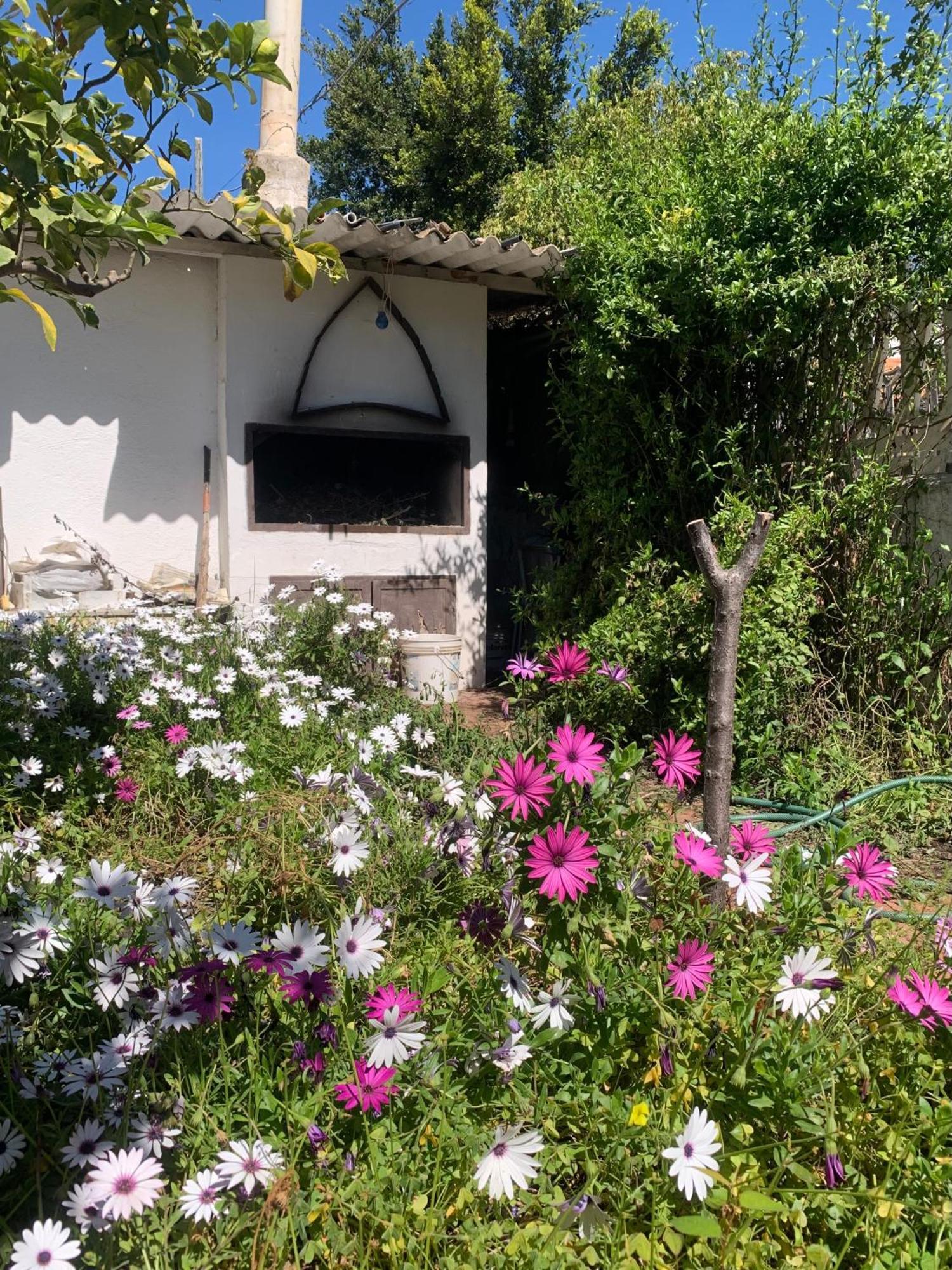 Вилла Casa Tranquilla A Pochissimi Passi Dal Mare Sant'Andrea  Экстерьер фото